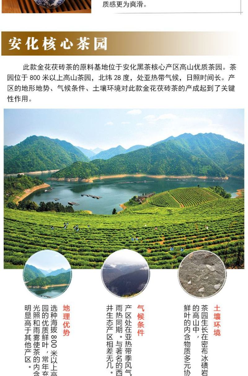 【2斤装买就送精美茶刀】湖南安化黑茶金花茯砖茶1000克