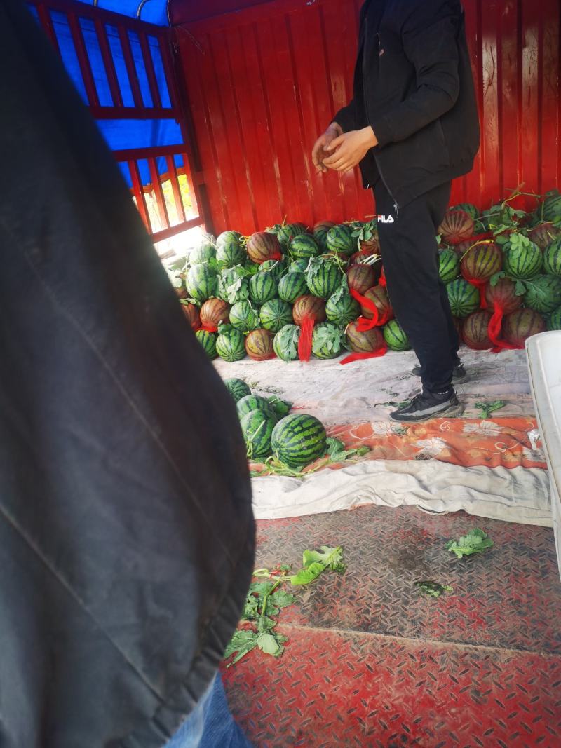 万亩基地河南西瓜大量上市价格低质量好欢迎前来洽谈合