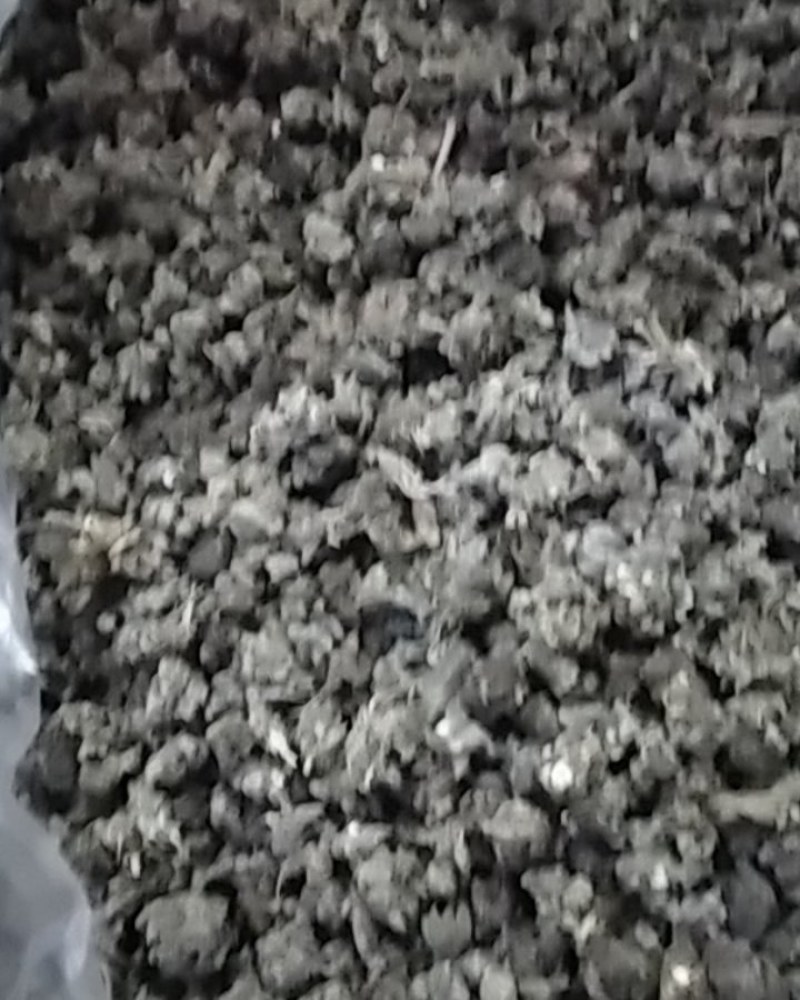 猫爪草野生猫爪草大别山野生中药材可批发零售