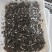 黑皮鸡枞菌鲜品直发常年供应量大从优诚信经营。