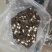 黑皮鸡枞菌鲜品直发常年供应量大从优诚信经营。