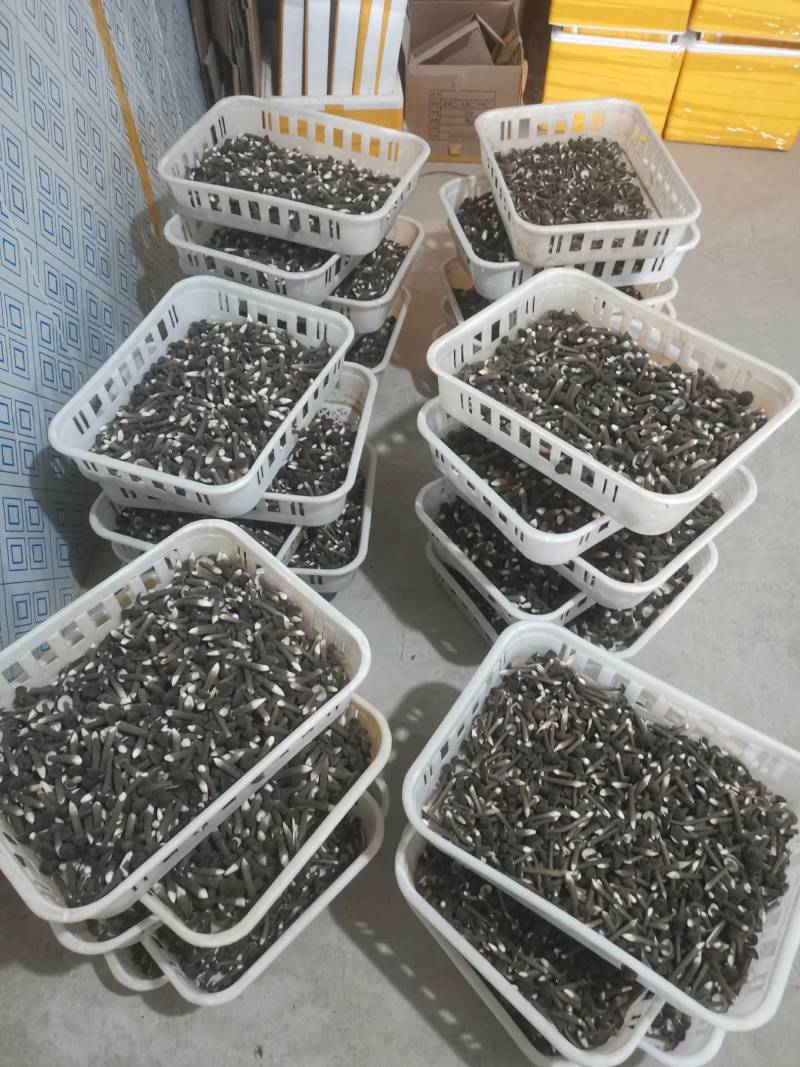 黑皮鸡枞菌鲜品直发常年供应量大从优诚信经营。