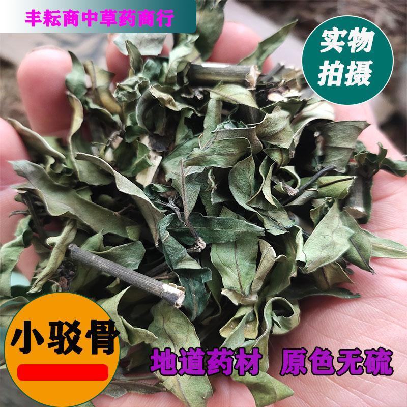 野生小驳骨中药材小驳骨新货