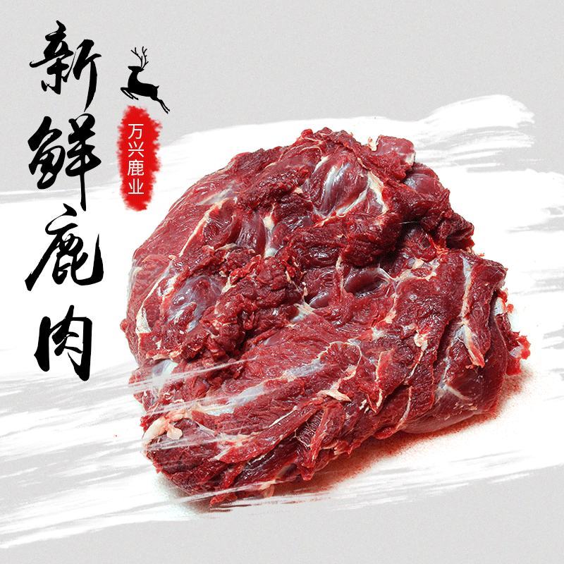 精品梅花鹿，鹿肉，梅花鹿，鹿肉！活鹿现杀新鲜鹿肉！