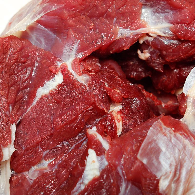 精品梅花鹿，鹿肉，梅花鹿，鹿肉！活鹿现杀新鲜鹿肉！