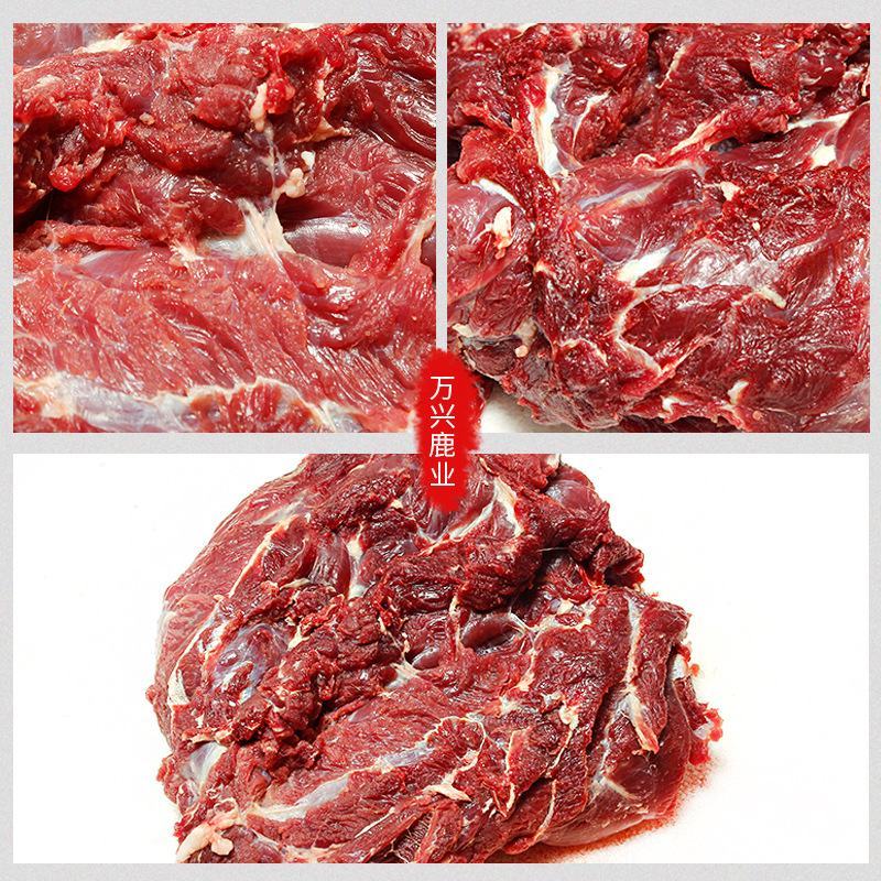 精品梅花鹿，鹿肉，梅花鹿，鹿肉！活鹿现杀新鲜鹿肉！