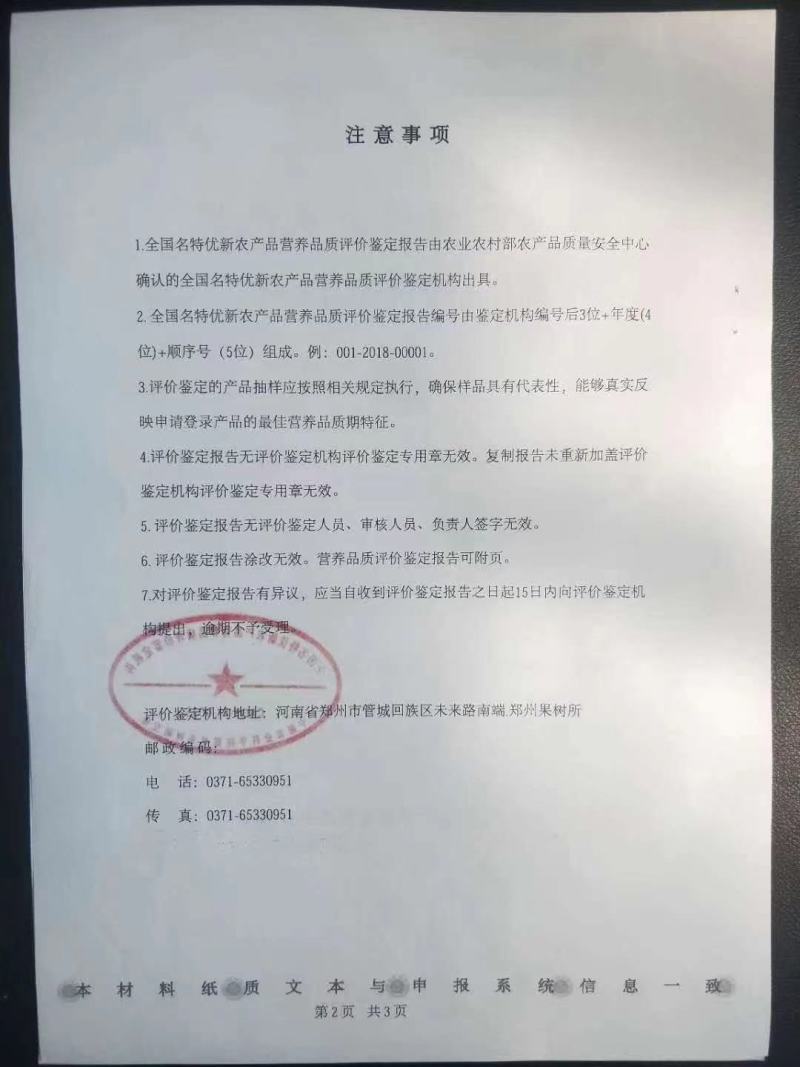 陕西·凤翔·虢王红薯种植基地。可供超市、电商、批发及零售