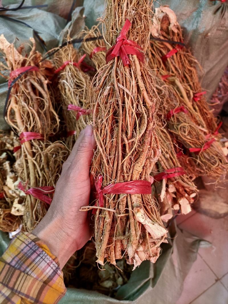 五指毛桃