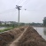 150亩虾塘转让