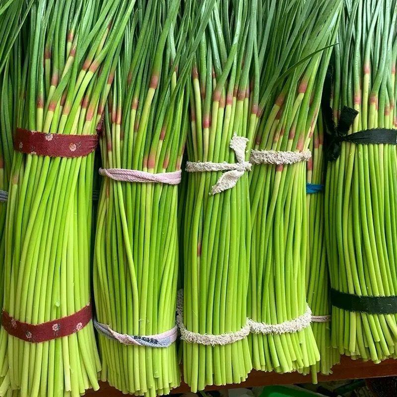 全国代发，红帽蒜苔，蒜薹，长60-80公分，价格随行就市