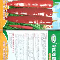色素干辣椒杂交品种种子、农乐红双禧9号、色架好，亩产量好