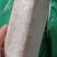 茯苓菌种粮食多分量足产量高质量保证大量收购鲜茯苓