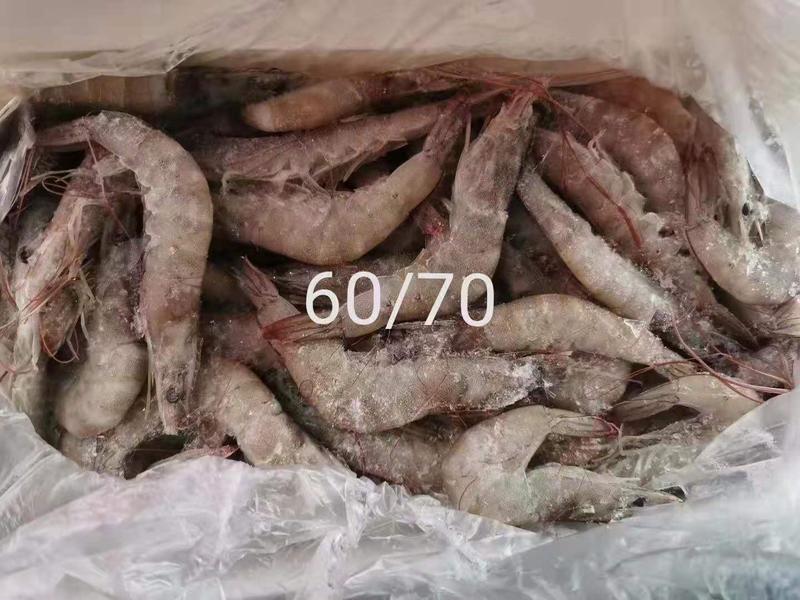 国产水冻白虾对虾鲜虾加工冰衣保鲜量大价优整车零担批发