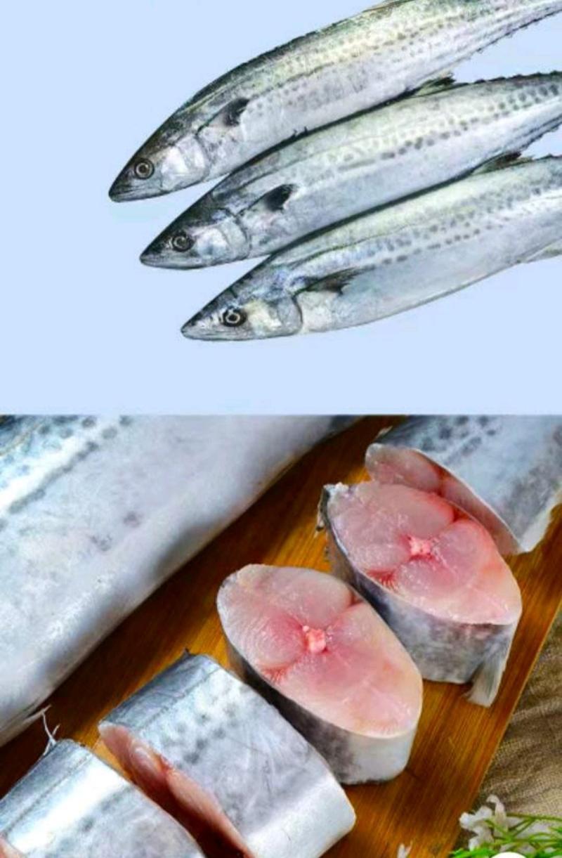 新鲜鲅鱼海鲜水产体肥刺少肉嫩营养美味5斤1件包邮