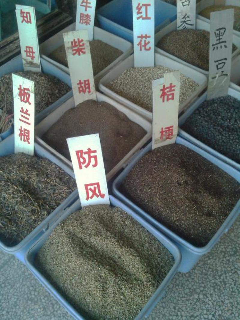 新采柴胡种子中药材种子中草药种籽地熏茈胡山菜茹草