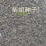 新采柴胡种子中药材种子中草药种籽地熏茈胡山菜茹草