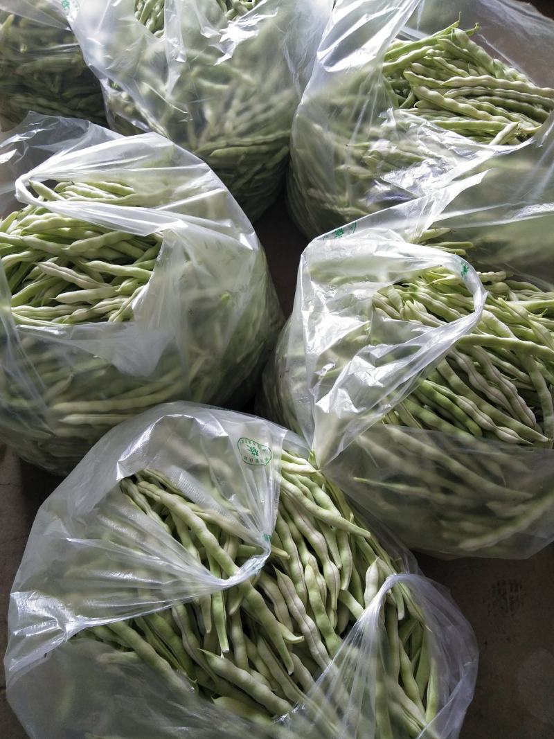 头茬精品芸豆大量上市色嫩绿油亮条长价格落落落