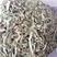 白洋淀自然晾晒干荷叶，药材芦苇根