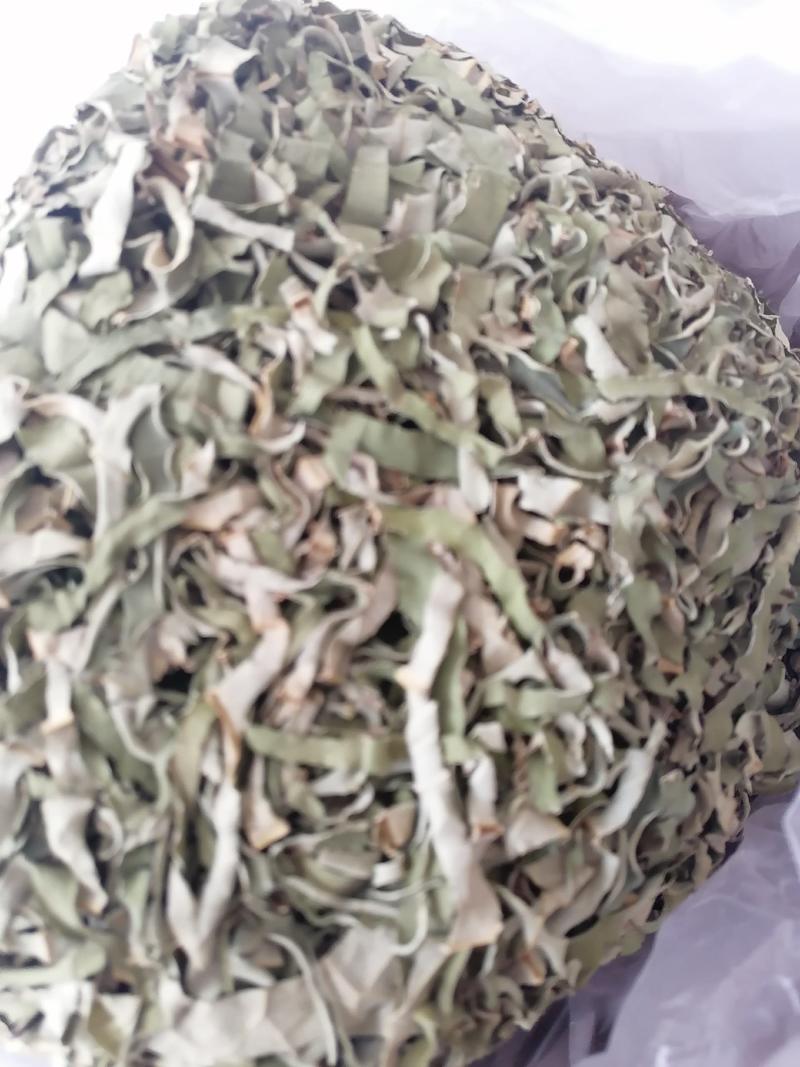 白洋淀自然晾晒干荷叶，药材芦苇根
