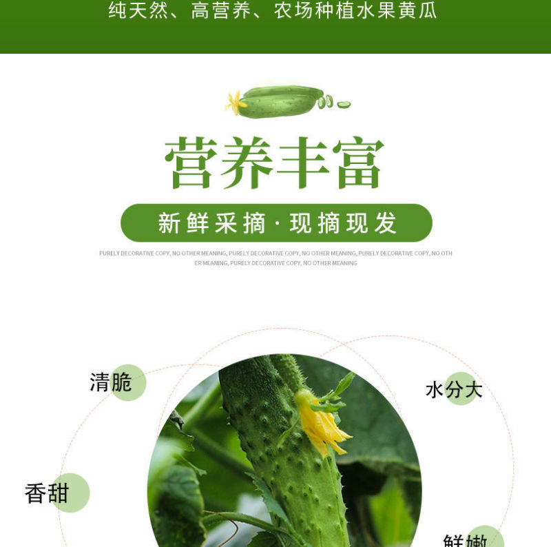 【一件代发】旱黄瓜新鲜水果黄瓜当季刺青瓜生吃果蔬现摘现发
