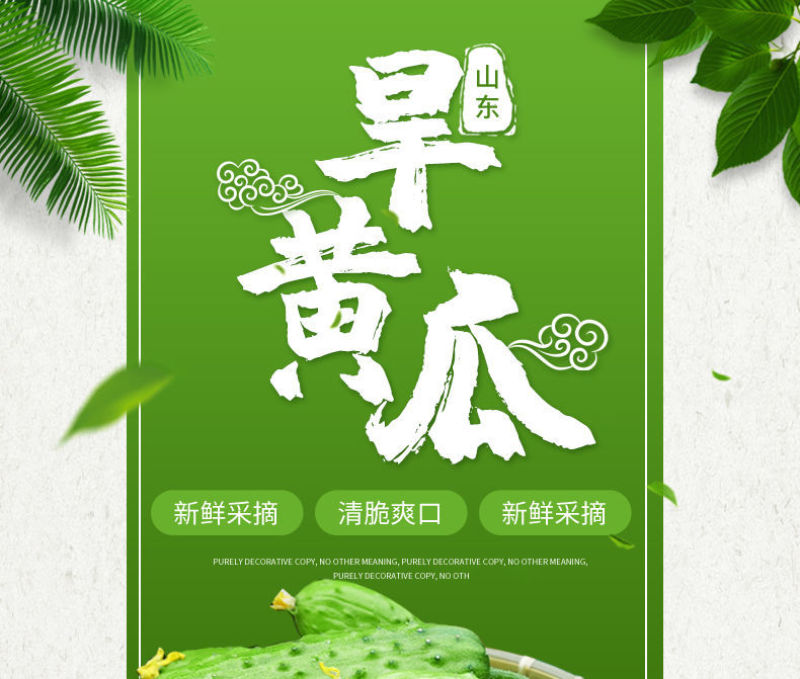 【一件代发】旱黄瓜新鲜水果黄瓜当季刺青瓜生吃果蔬现摘现发