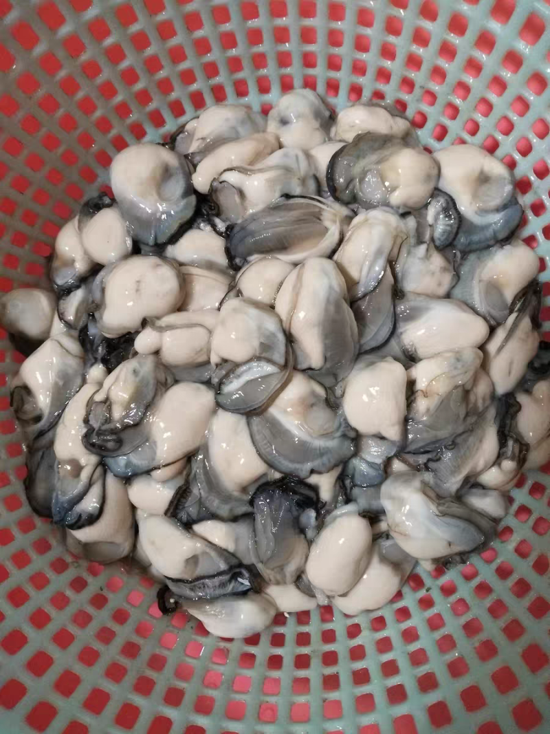 现剥鲜冻生蚝肉水产海蛎子10斤苏浙沪皖包邮