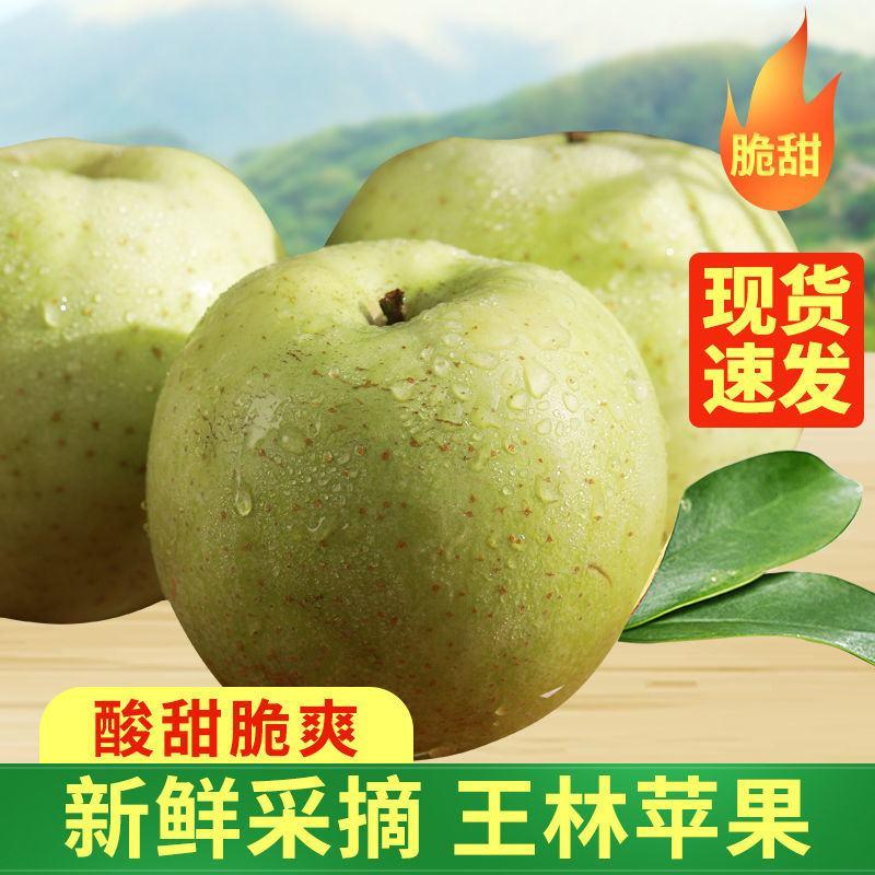 【一件代发】王林苹果青苹果酸甜水果新鲜当季整箱包邮