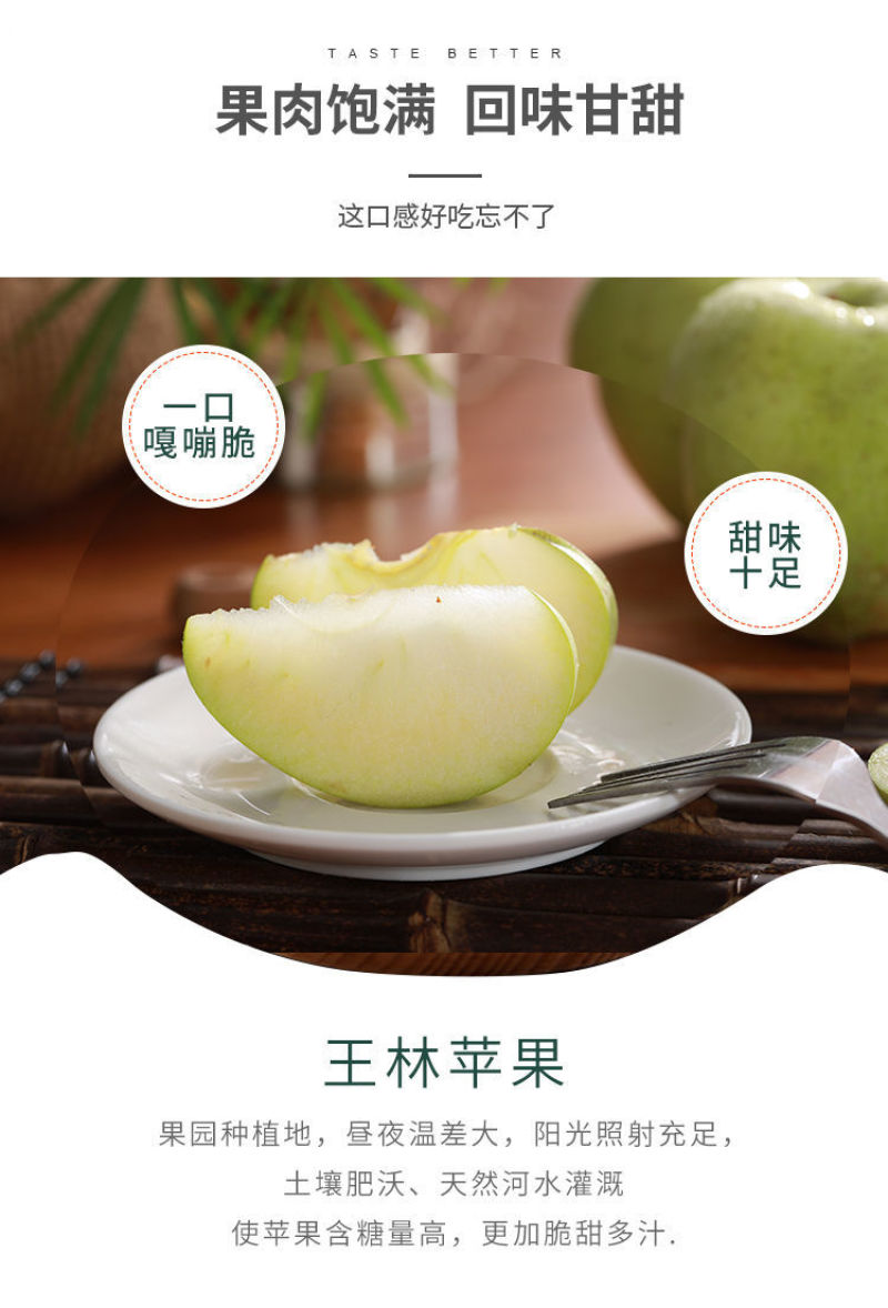 【一件代发】王林苹果青苹果酸甜水果新鲜当季整箱包邮