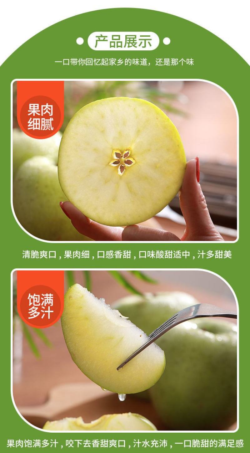 【一件代发】王林苹果青苹果酸甜水果新鲜当季整箱包邮