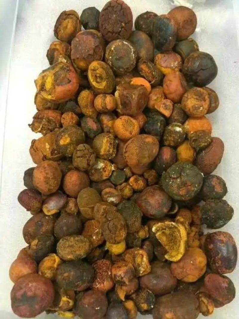 牛黄