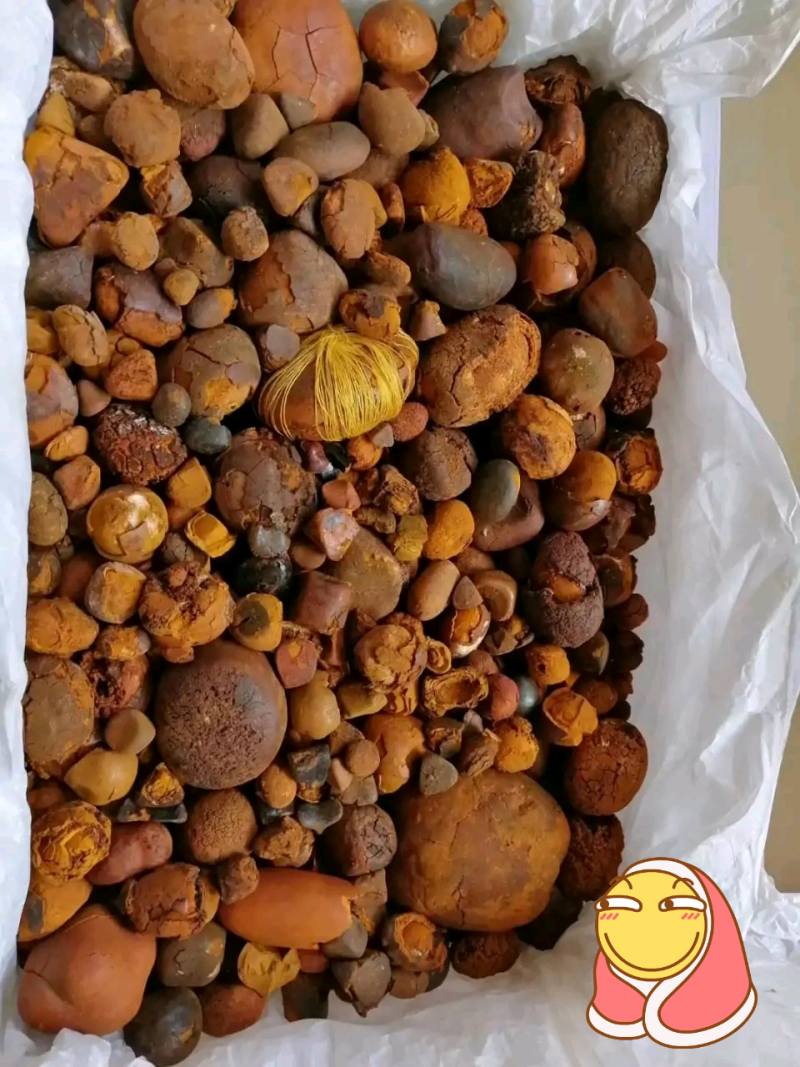 牛黄