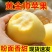 【一件代发】【一手货源】黄金帅苹果粉面香甜当季新鲜包邮