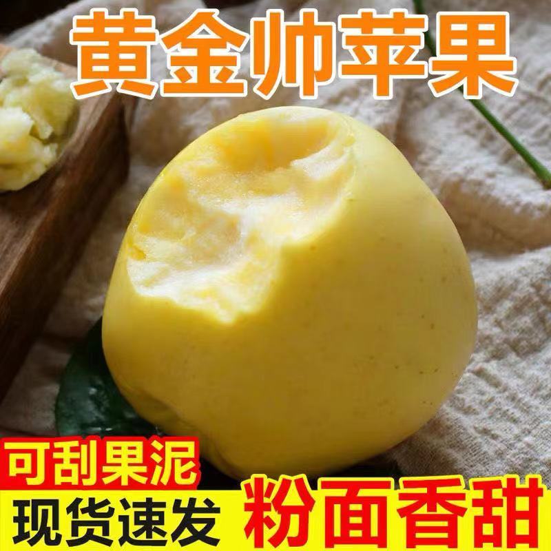 【一件代发】【一手货源】黄金帅苹果粉面香甜当季新鲜包邮