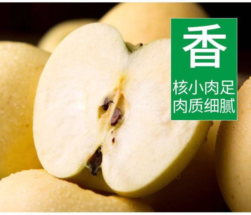 【一件代发】【一手货源】黄金帅苹果粉面香甜当季新鲜包邮