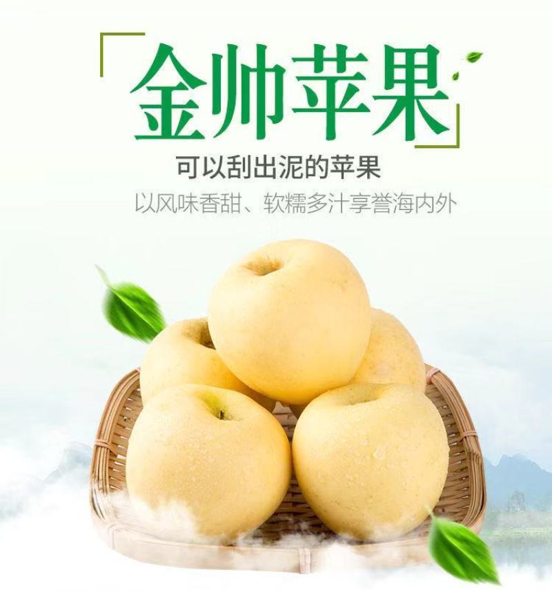 【一件代发】【一手货源】黄金帅苹果粉面香甜当季新鲜包邮