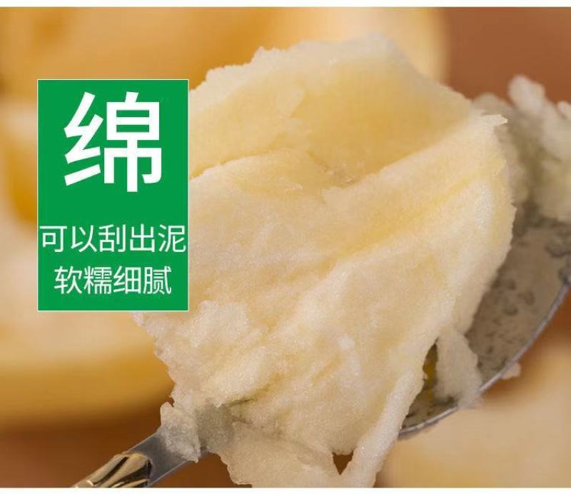 【一件代发】【一手货源】黄金帅苹果粉面香甜当季新鲜包邮