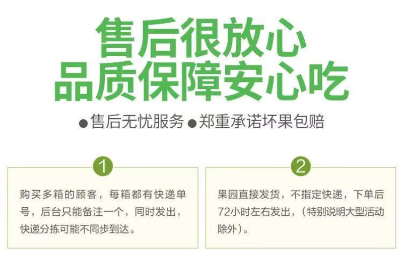 【一件代发】【一手货源】黄金帅苹果粉面香甜当季新鲜包邮