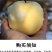 【一件代发】脆甜多汁奶油富士苹果新鲜吃的水果糖心水果包邮