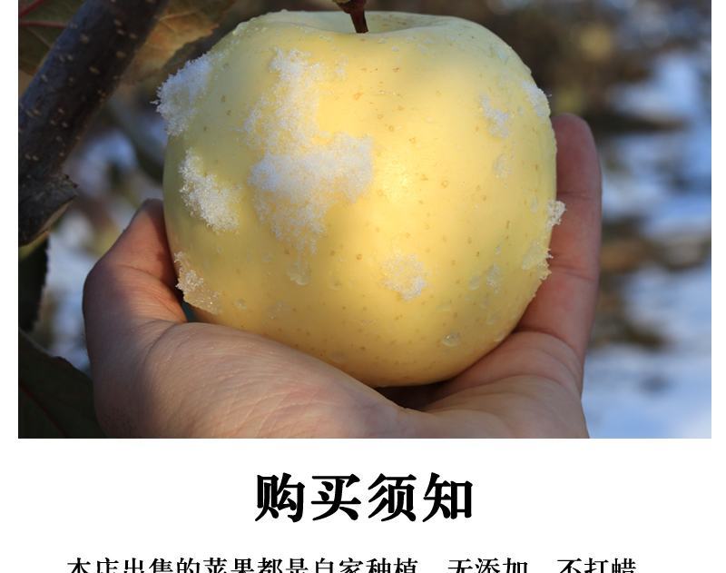 【一件代发】脆甜多汁奶油富士苹果新鲜吃的水果糖心水果包邮