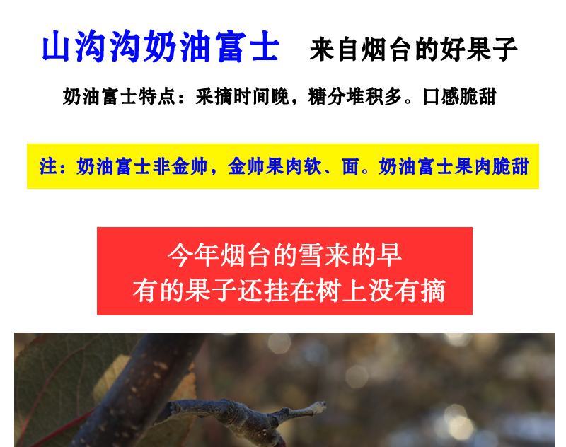 【一件代发】脆甜多汁奶油富士苹果新鲜吃的水果糖心水果包邮