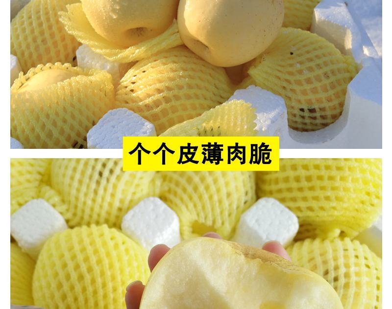 【一件代发】脆甜多汁奶油富士苹果新鲜吃的水果糖心水果包邮