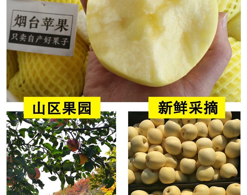 【一件代发】脆甜多汁奶油富士苹果新鲜吃的水果糖心水果包邮
