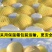 【一件代发】脆甜多汁奶油富士苹果新鲜吃的水果糖心水果包邮