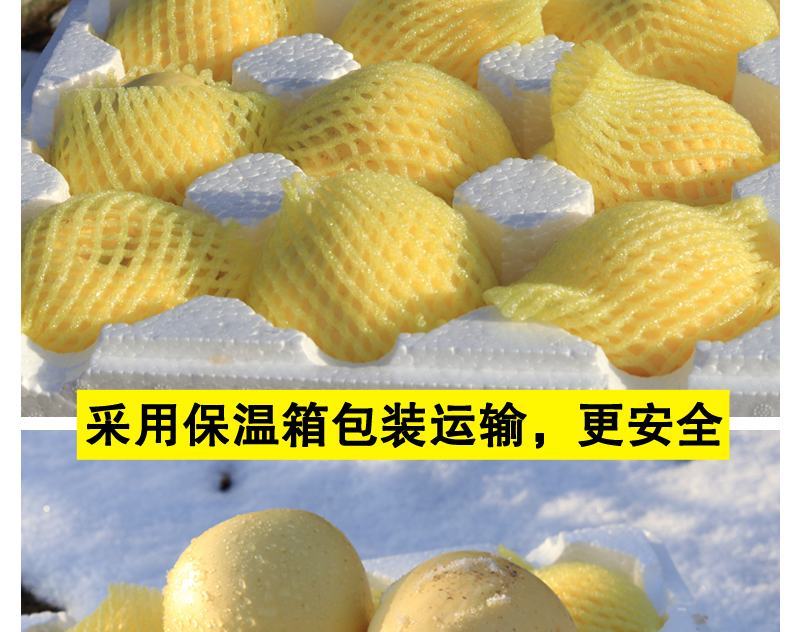 【一件代发】脆甜多汁奶油富士苹果新鲜吃的水果糖心水果包邮