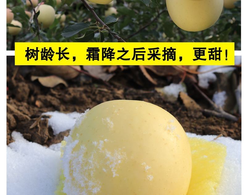 【一件代发】脆甜多汁奶油富士苹果新鲜吃的水果糖心水果包邮