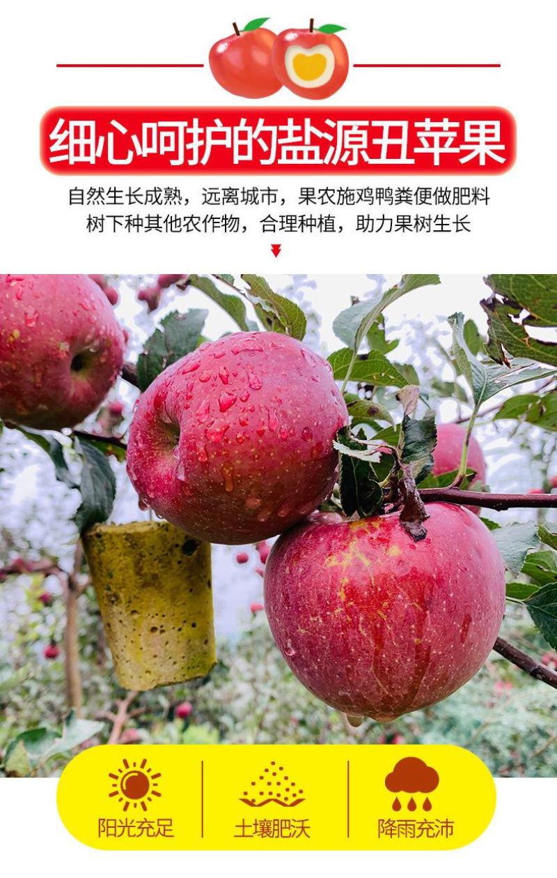 【一件代发】云南四川山西丑苹果当季新鲜苹果水果整箱包邮