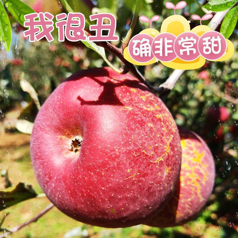 【一件代发】云南四川山西丑苹果当季新鲜苹果水果整箱包邮