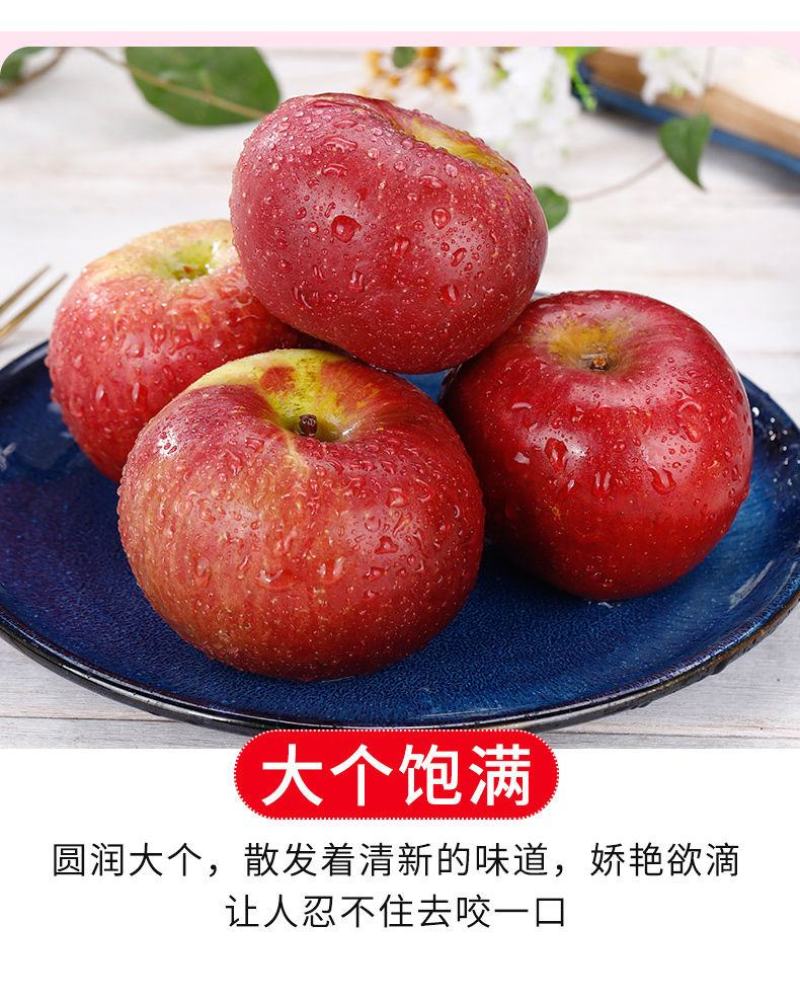 【一件代发】云南四川山西丑苹果当季新鲜苹果水果整箱包邮