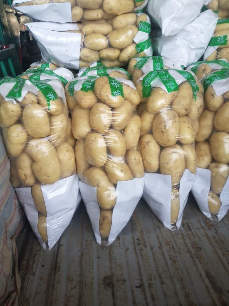 山东泰安新土豆大量上市