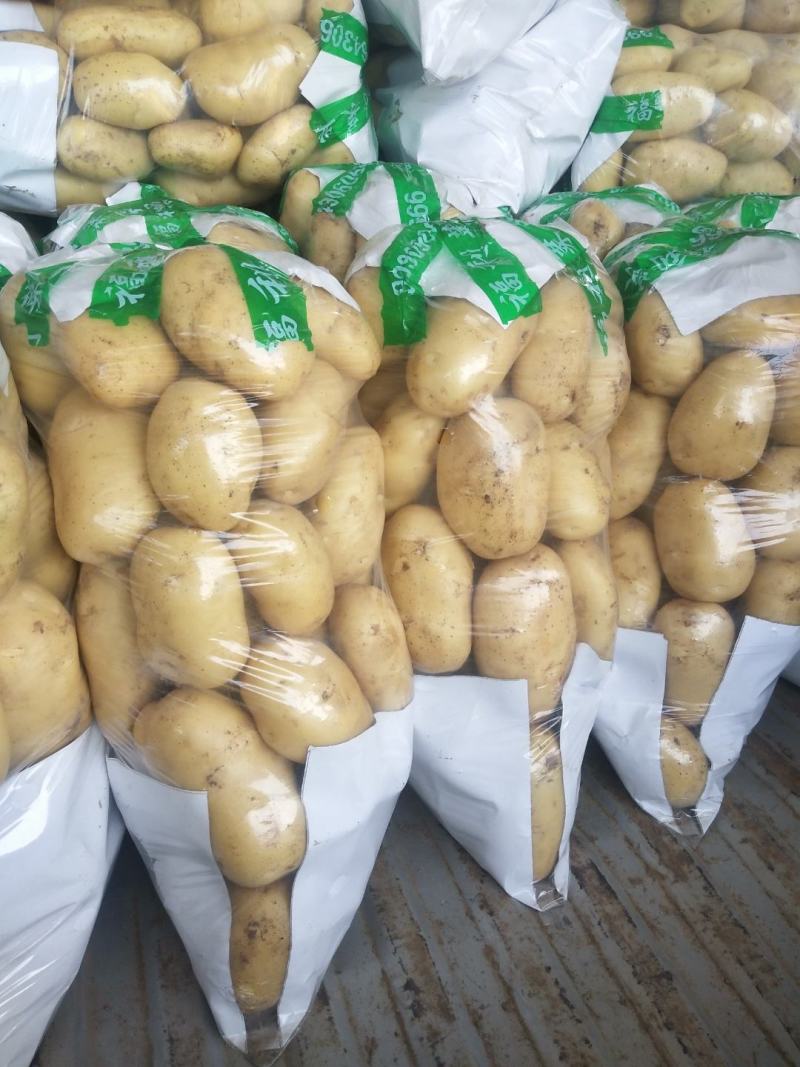 山东泰安新土豆大量上市